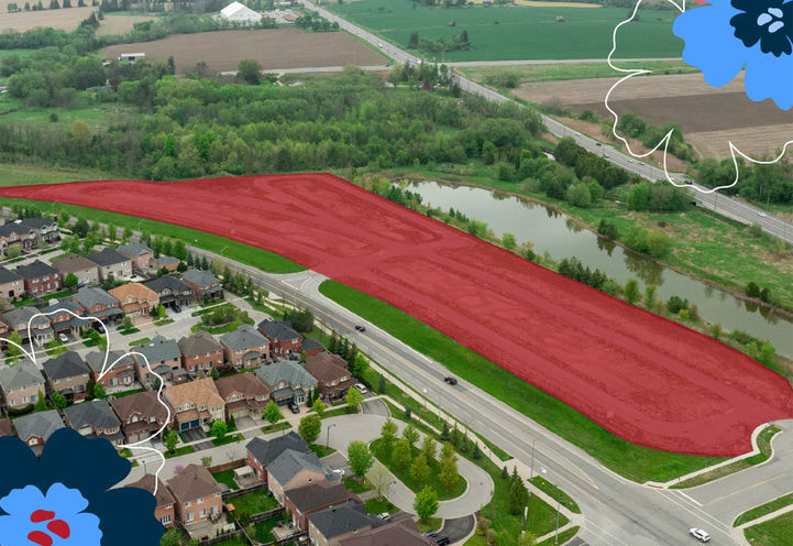 Townhomes of Little Rouge located at Donald Cousens Parkway & Ninth Line, Markham image