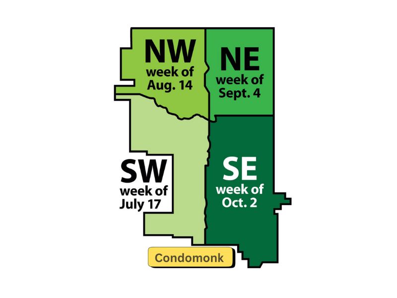 Navigating Calgary's Quadrants: Finding the Right Fit for Your Lifestyle