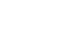 Anxin Projects builders logo